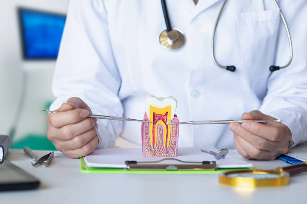 Best Emergency Treatment for Toothache in Auburn, NY